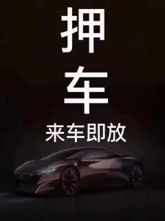 佛山市车辆抵押贷款公司月息九厘